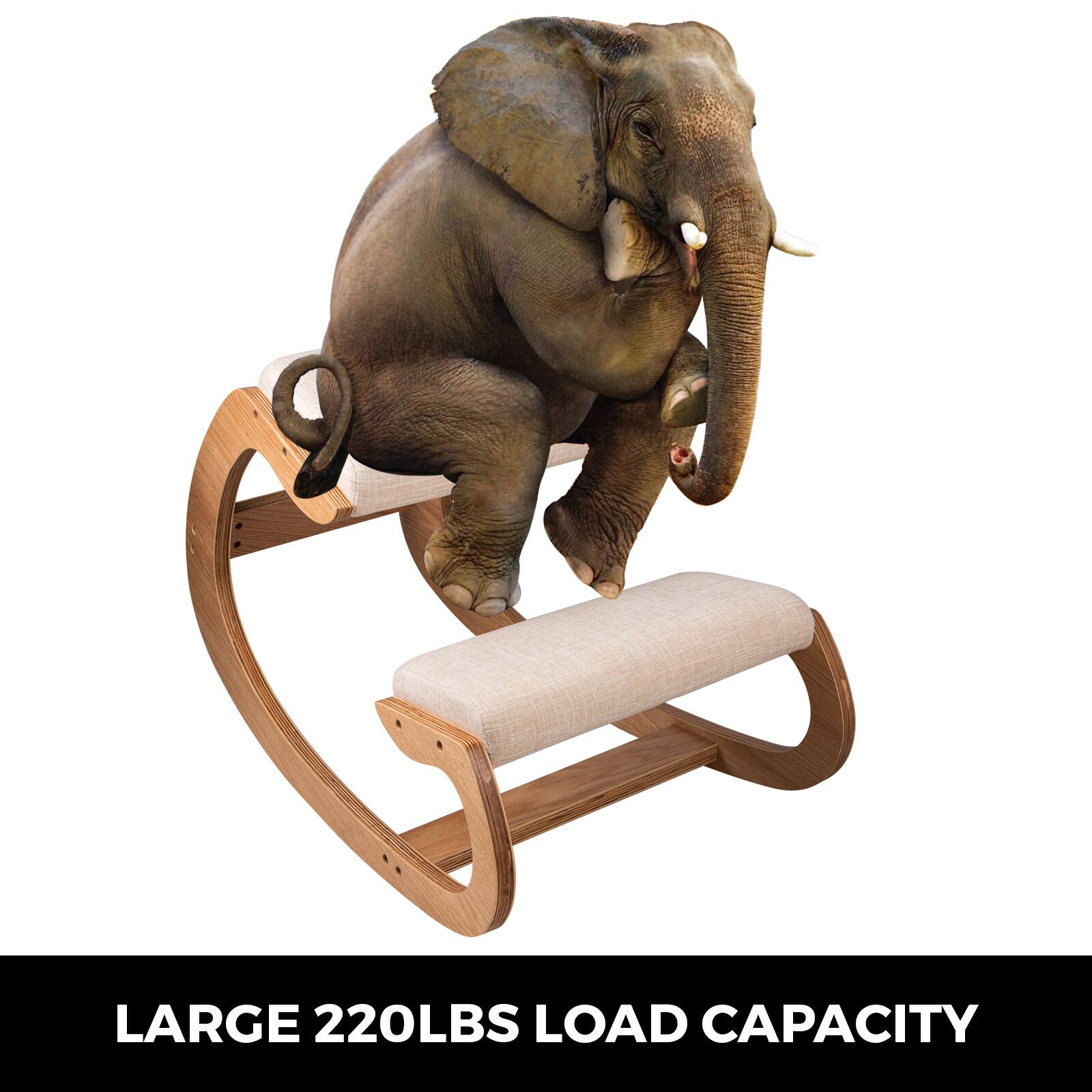 LARGE 220LBS LOAD CAPACITY