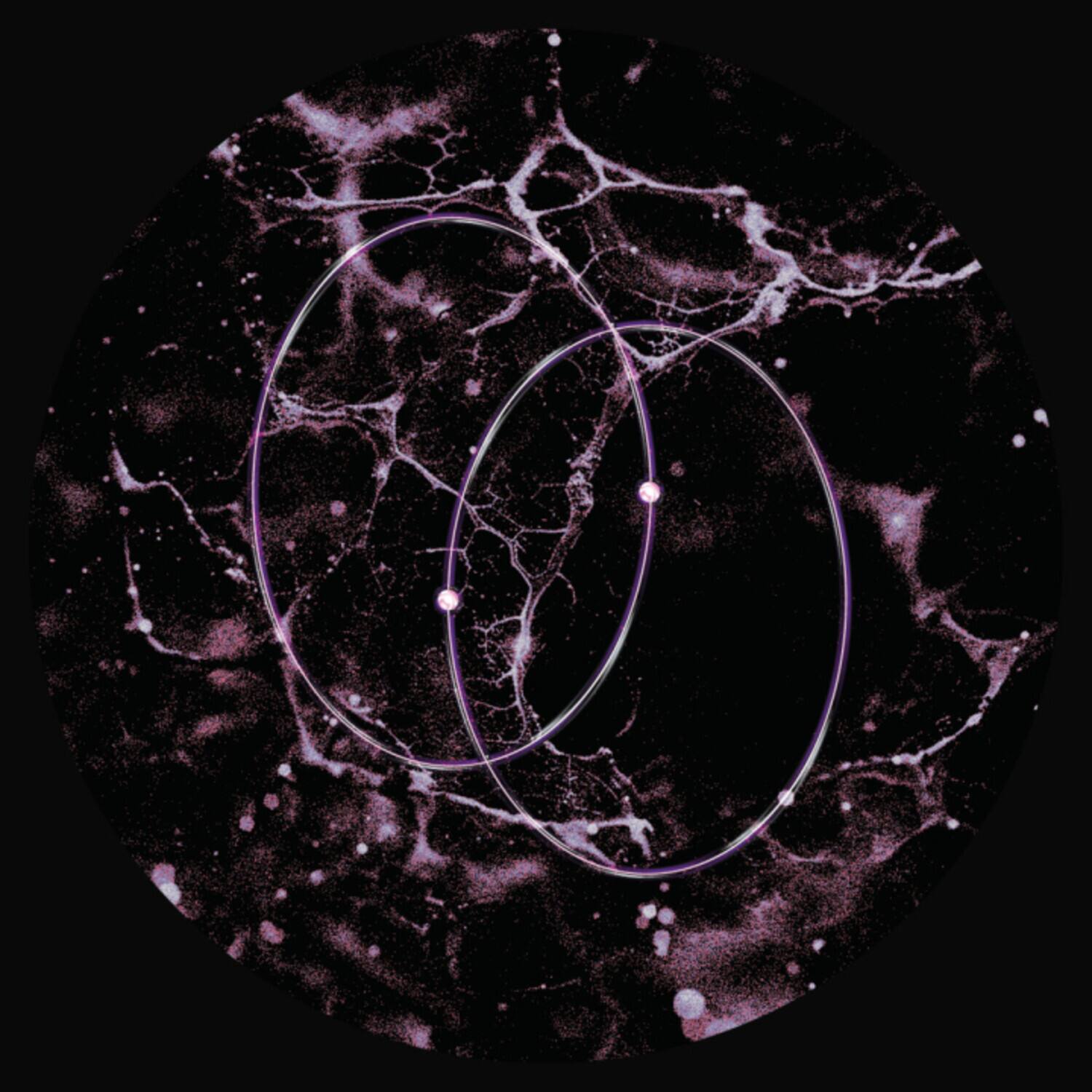 Leo Len - Echolocation   - 12-INCH SINGLE [12 inch Vinyl Single] price history on PriceWatchPro