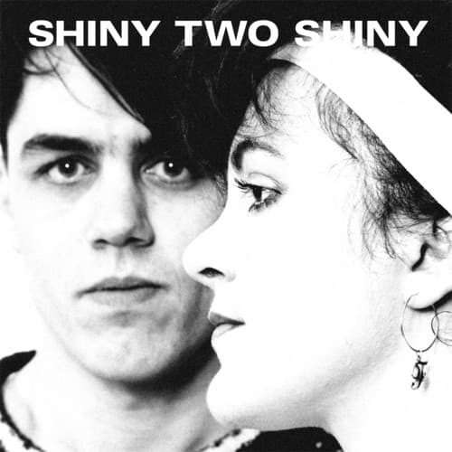 Silk Flowers - When The Rain Stops   - VINYL LP price history on PriceWatchPro