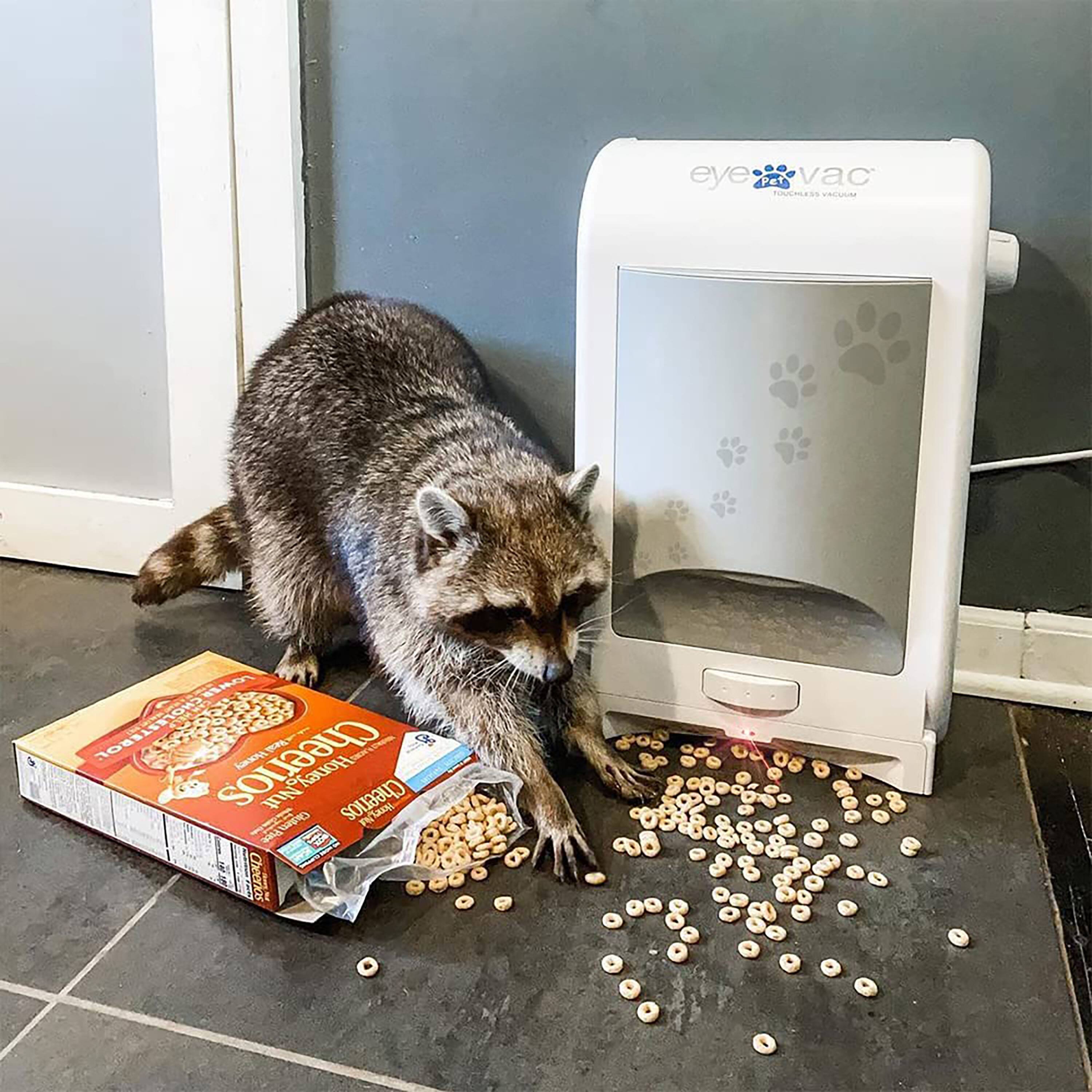 eye Pet vac TOUCHLESS VACUUM  
LOWER TOMER CHOTEZLEBOT. Cheerios Honey Real Honey. Nut Cheerios Honey I Gluten Free Cheerios