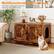 Multifunctional Cat Furniture
Serve as a private cat restroom and as an attractive piece of home decoration