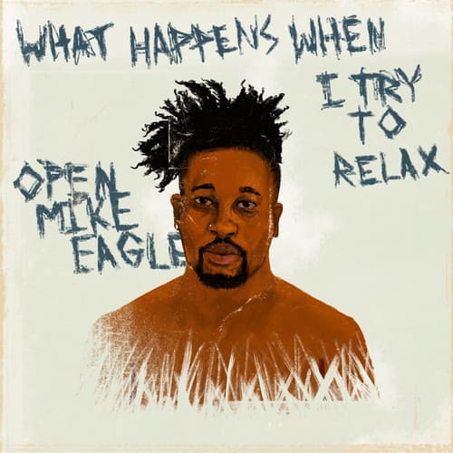 Open Mike Eagle - What Happens When I Try to Relax   - COMPACT DISCS [CD] price history on PriceWatchPro