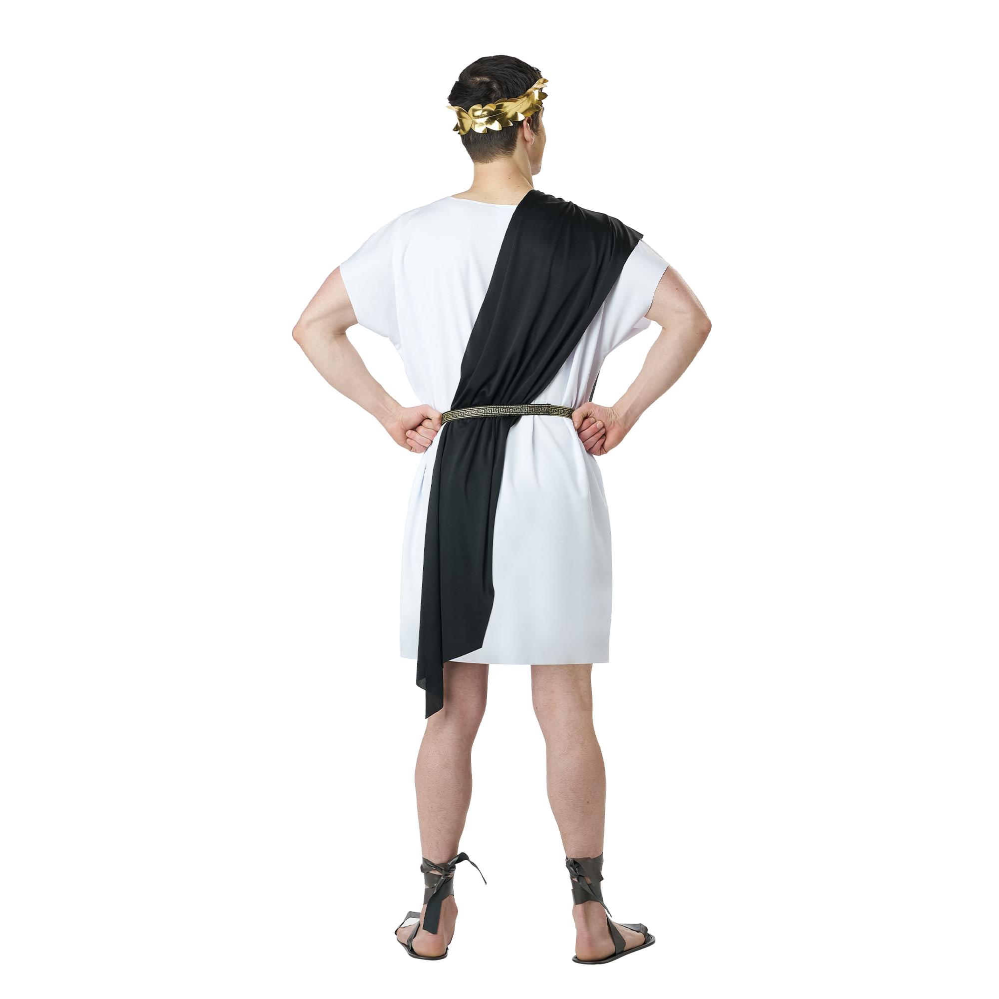 California Costumes Party Toga Adult Costume | Small/ Medium White 5224 ...