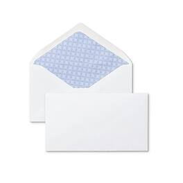 Staples - Gummed Security Tinted #6 3/4 Business Envelopes, 3 5/8" x 6 1/2", 250/Box - White