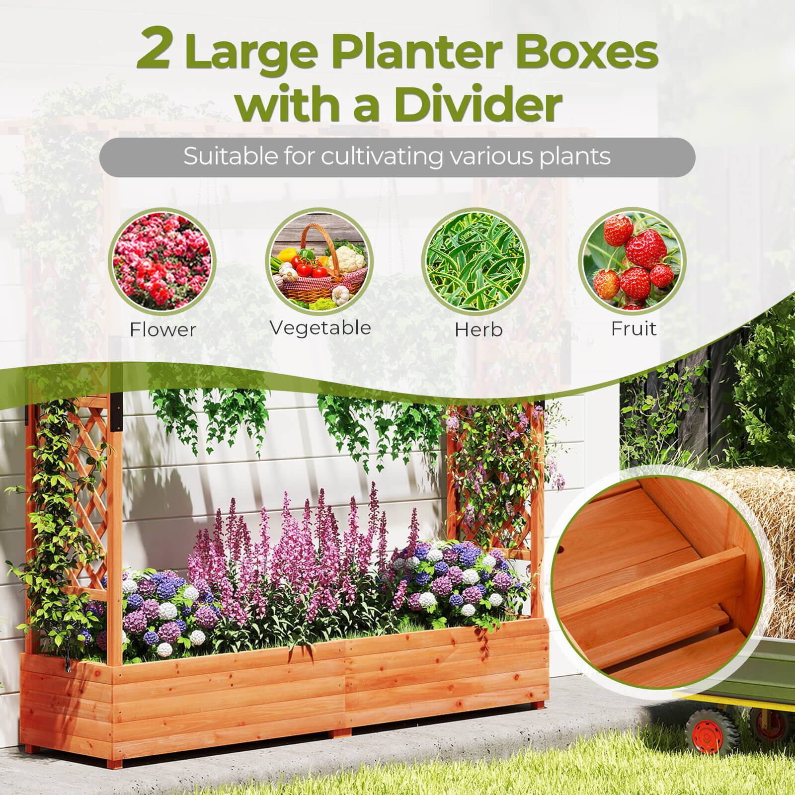 2 Large Planter Boxes with a Divider  
Suitable for cultivating various plants  
- Flower  
- Vegetable  
- Herb  
- Fruit