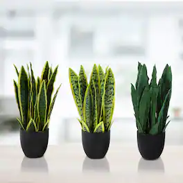 Oumilen - 3 Pack Artificial Snake Plant Potted Faux Sansevieria Trifasciata Plants, 13" Tropical Fake Snake Plants in Black Pots