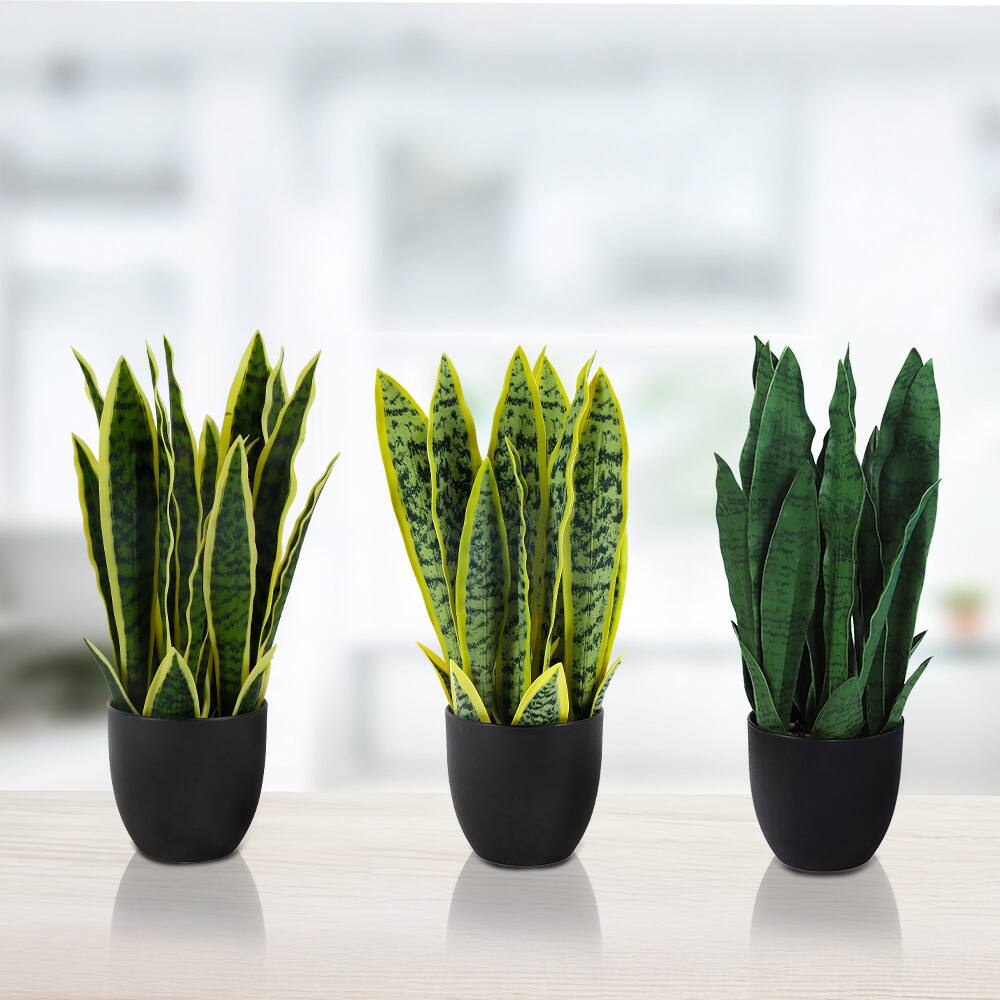 Front. Oumilen - 3 Pack Artificial Snake Plant Potted Faux Sansevieria Trifasciata Plants, 13" Tropical Fake Snake Plants in Black Pots.