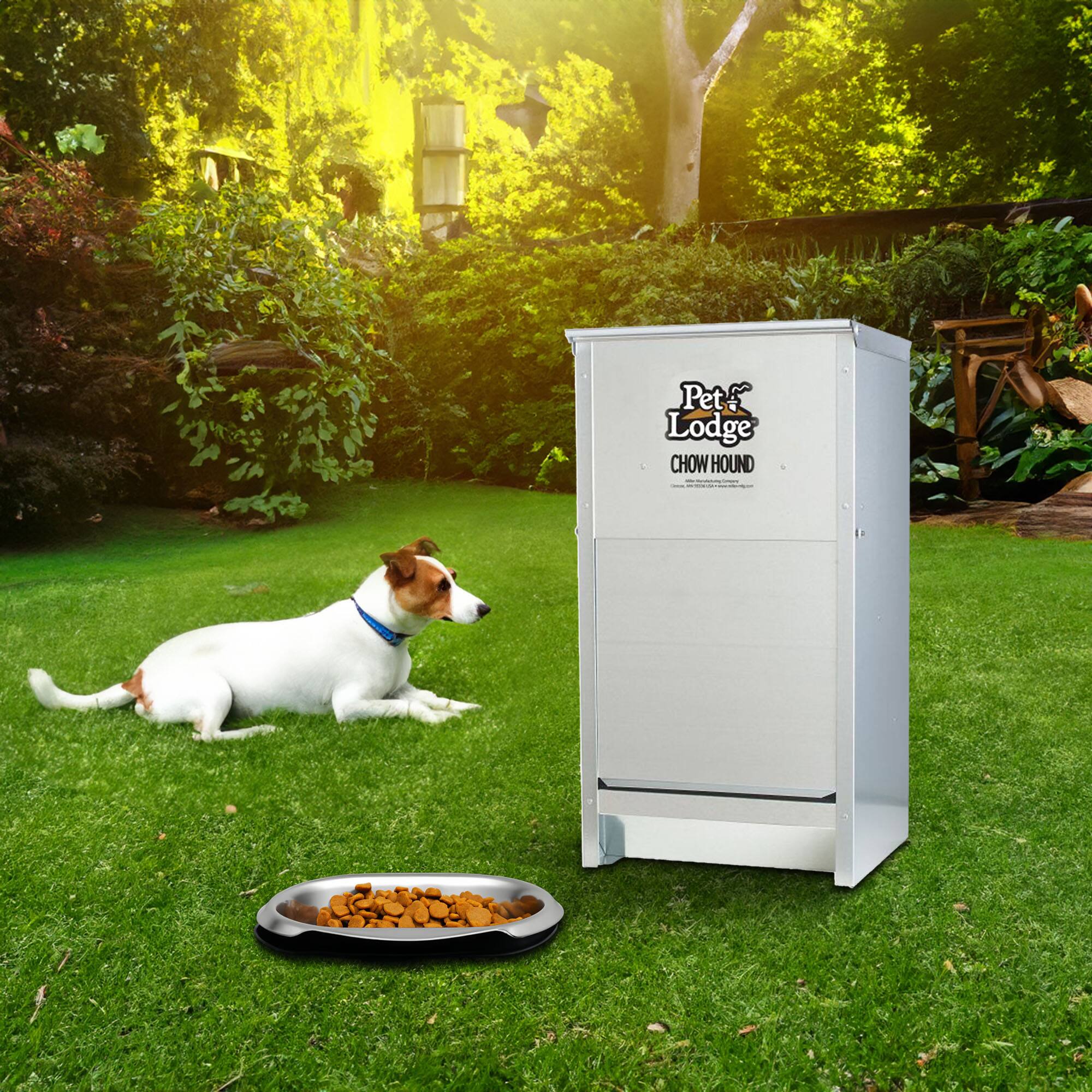 Pet Lodge  
CHOW HOUND