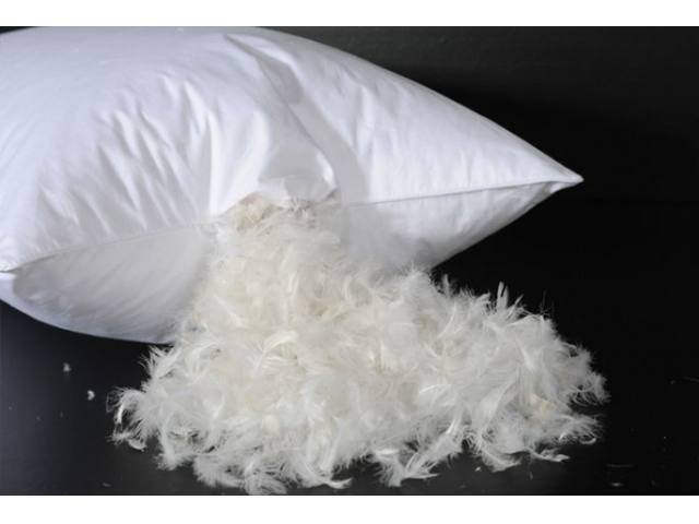 Angle. BeautySleep - BeautySleep 2-4 Pack Feather Cotton Pillow Set - Standard.