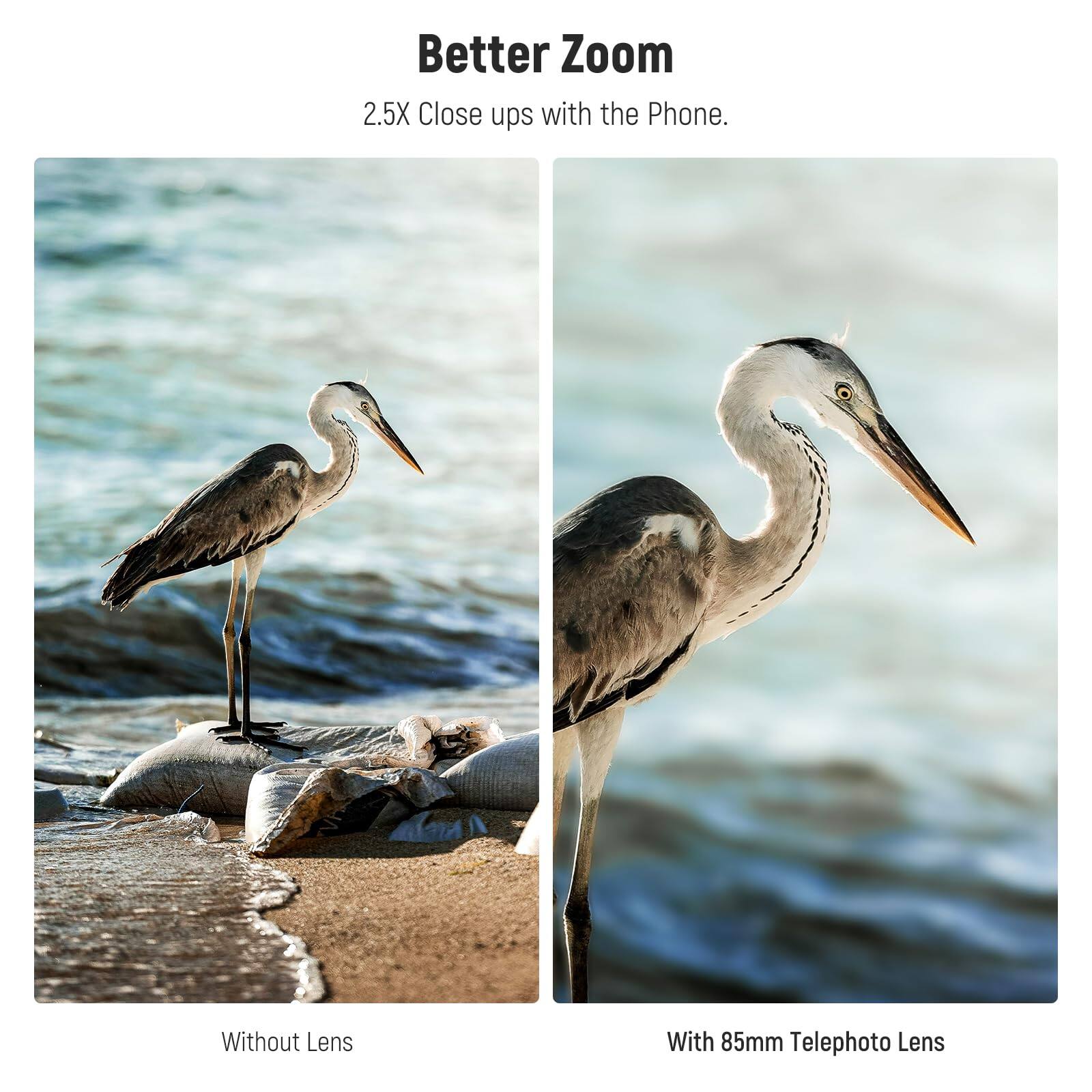 Better Zoom  
2.5X Close ups with the Phone.  

Without Lens  

With 85mm Telephoto Lens