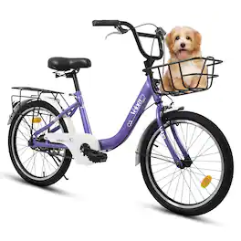 Anysun - 20 Inch Kids Bike for Boys & Girls - Coaster & V-Brake, 1-Speed, Steel Frame, Chain Guard, Rear Rack - Purple