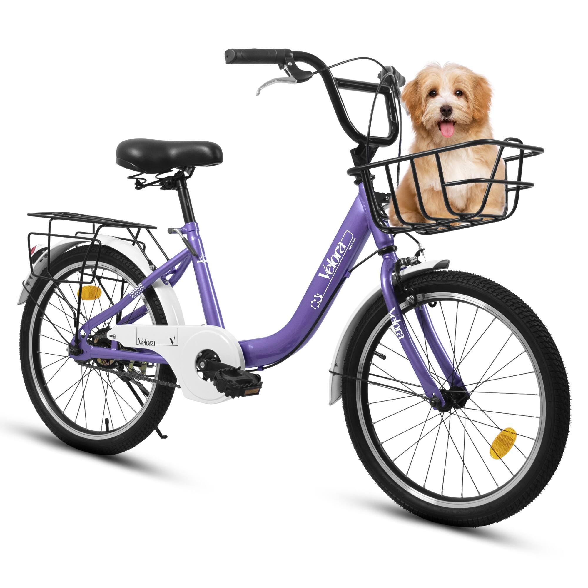 Anysun - 20 Inch Kids Bike for Boys & Girls - Coaster & V-Brake, 1-Speed, Steel Frame, Chain Guard, Rear Rack - Purple