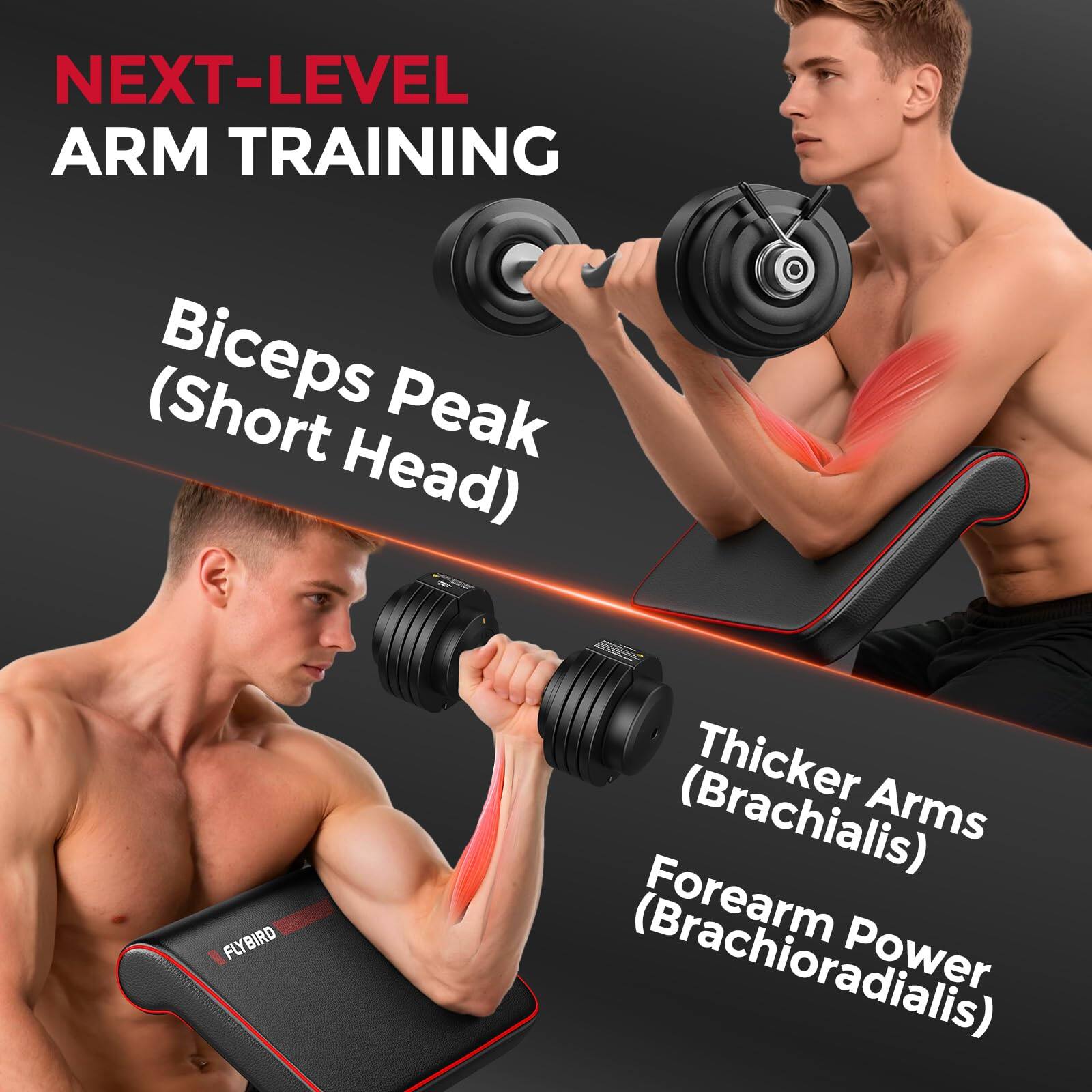 NEXT-LEVEL ARM TRAINING

Biceps Peak (Short Head)

Thicker Arms (Brachialis)

Forearm Power (Brachioradialis)