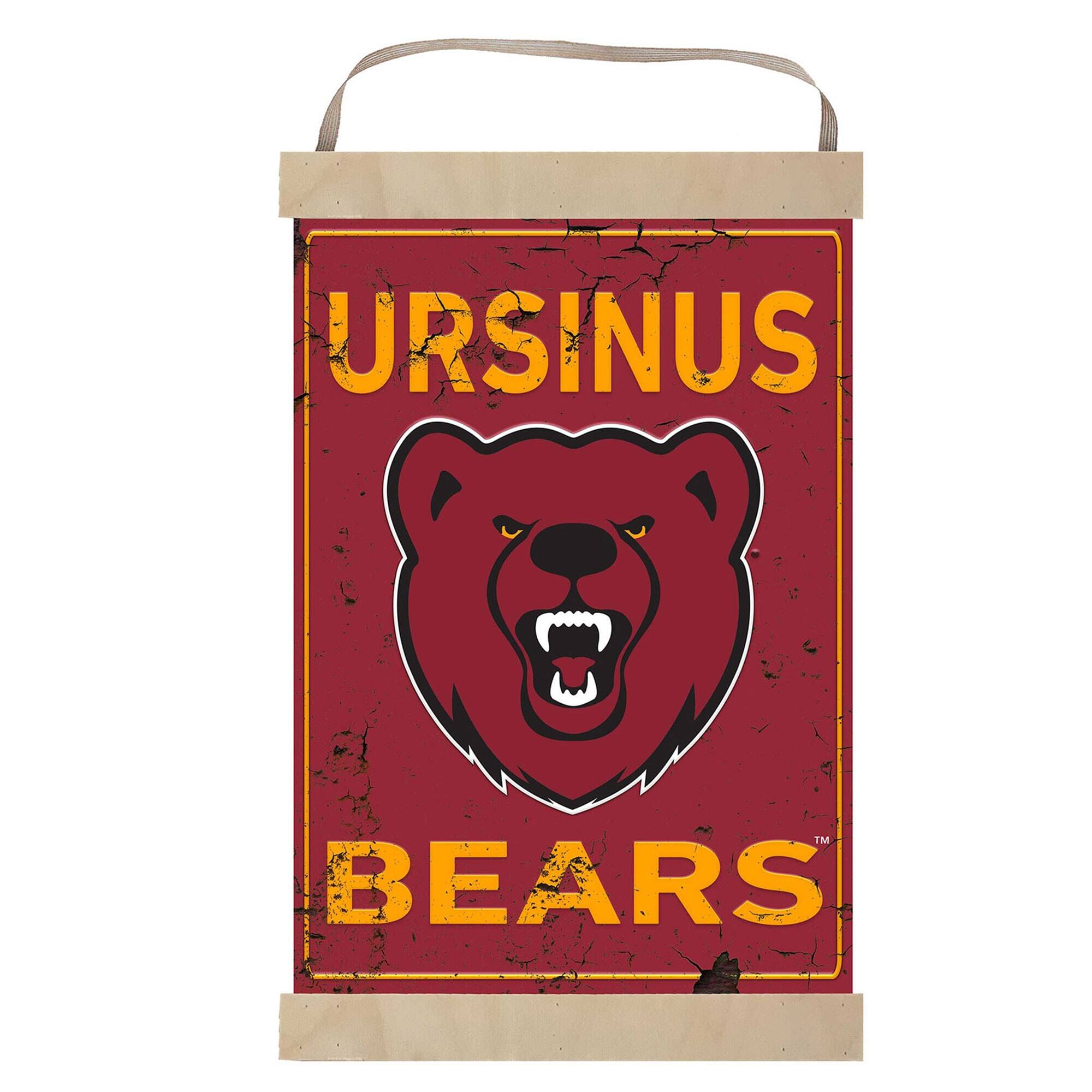 URSINUS BEARS