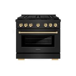 ZLINE - Autograph 36 in. Black Stainless Paramount Dual Fuel Range w/ DuoPro Cooktop & Gold Accents (PSDRBZ-36-G) - Black Stainless Steel