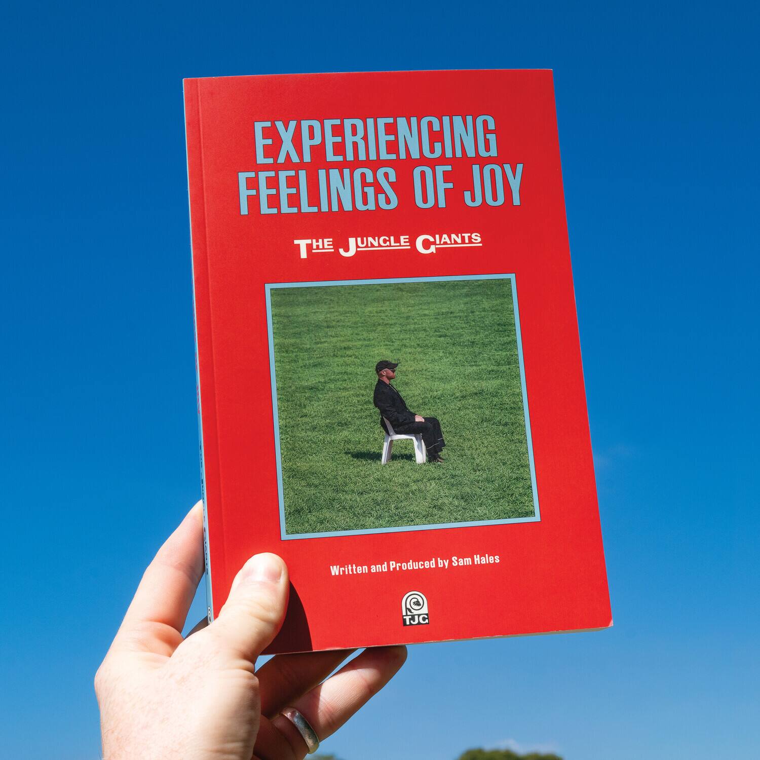 Jungle Giants - Experiencing Feelings Of Joy   - COMPACT DISCS [CD] price history on PriceWatchPro