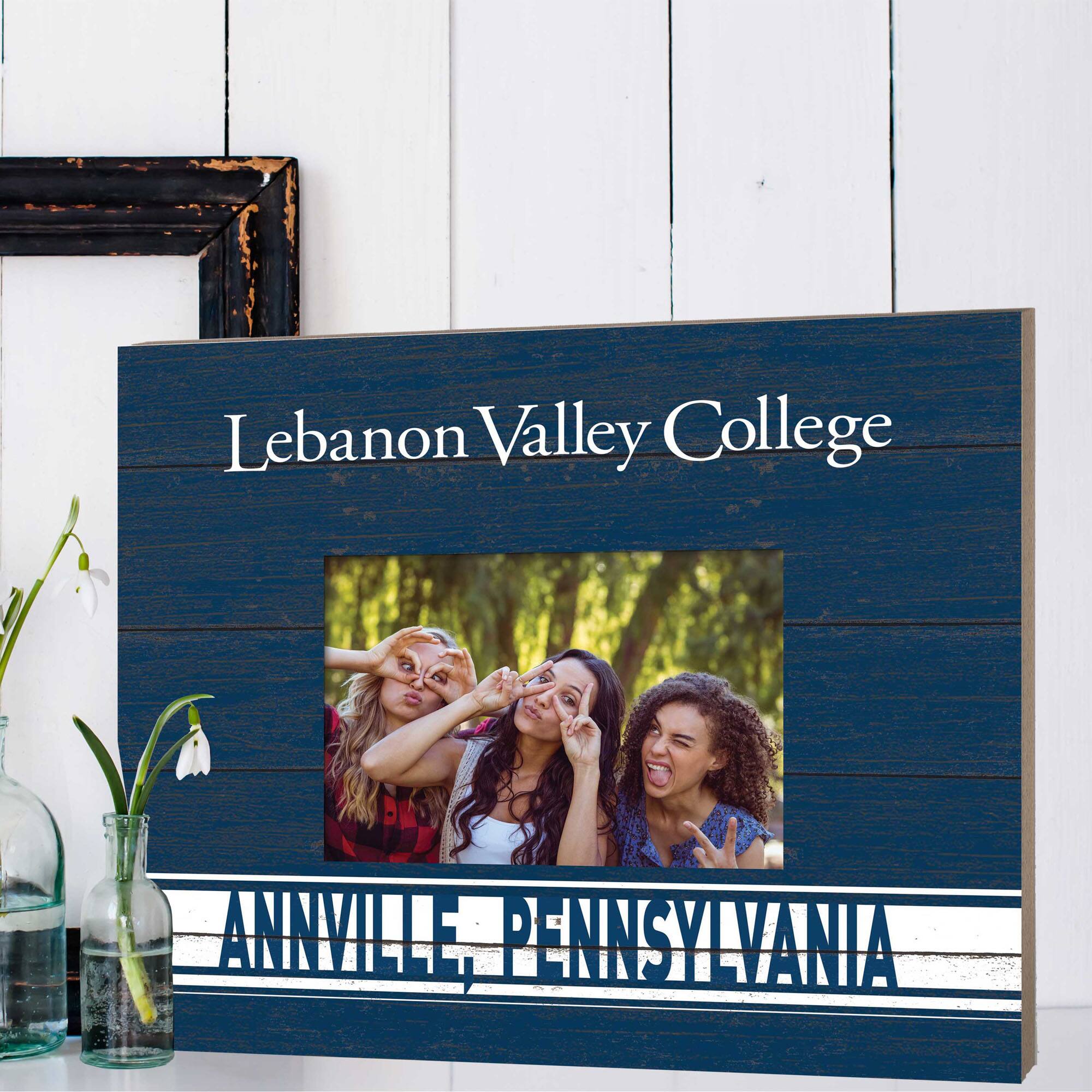 Lebanon Valley College  
ANNVILLE, PENNSYLVANIA