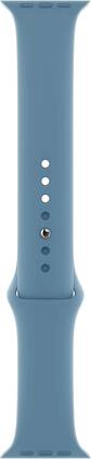 Apple - Watch Band - Sport Band (40mm) - Northern Regular - Blue