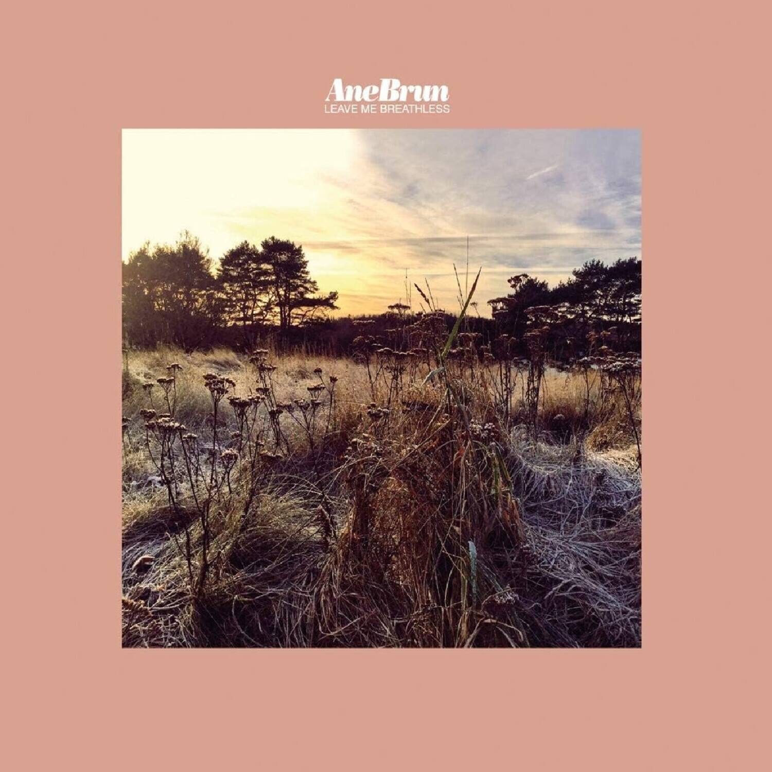 Ane Brun - Leave Me Breathless   - COMPACT DISCS [CD] price history on PriceWatchPro