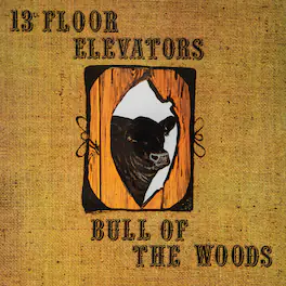 The 13th Floor Elevators - Bull Of The Woods - VINYL LP
