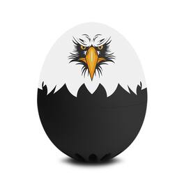 BrainStream - Eagle BeepEgg Singing and Floating Egg Timer for Boiled Eggs - Black