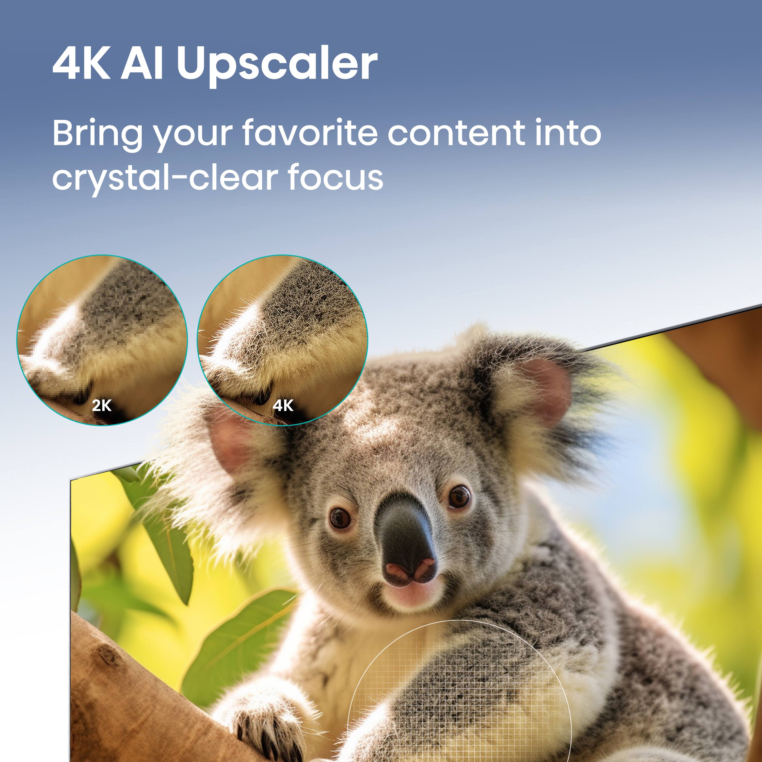 4K AI Upscaler  
Bring your favorite content into crystal-clear focus  

2K  
4K