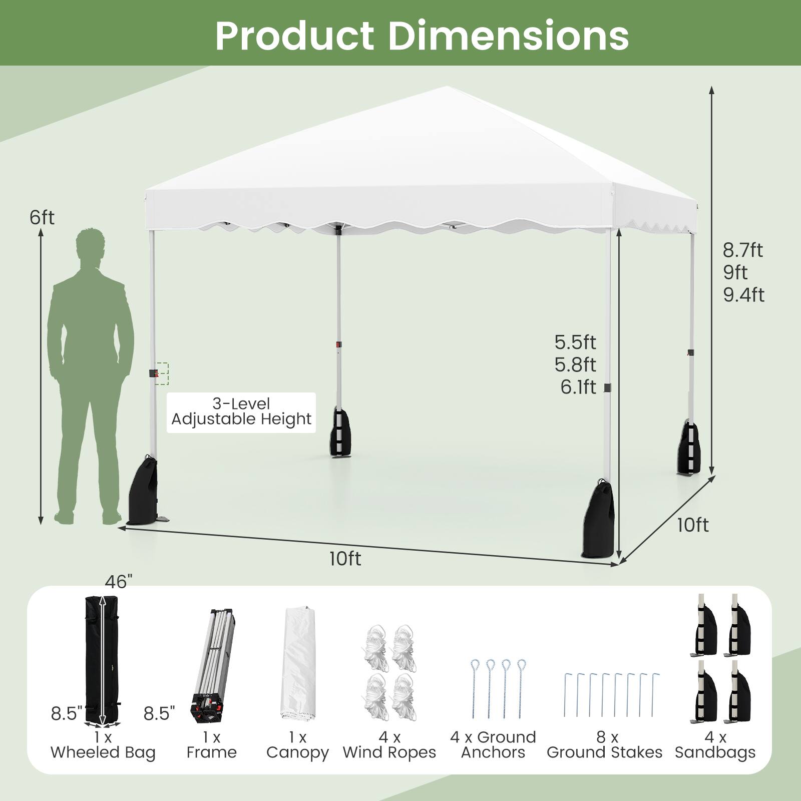 Product Dimensions: 6ft, 8.7ft, 9ft, 9.4ft, 3-Level Adjustable Height (5.5ft, 5.8ft, 6.1ft, 10ft), 46" x 8.5" x 8.5" Wheeled Bag, 1x Frame, 1x Canopy, Wind Ropes, 4x Anchors, 8x Ground Stakes, 4x Sandbags.