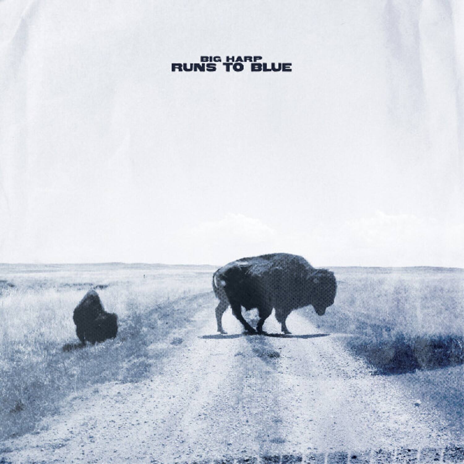 Big Harp - Runs to Blue   - COMPACT DISCS [CD] price history on PriceWatchPro