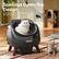 Spacious Open-Top Design
A familiar 360° wide-open view and effortless turning.
3.5 lbs
22 lbs
CAT-LINK