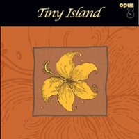 Tiny Island [LP] - VINYL - Front_Zoom