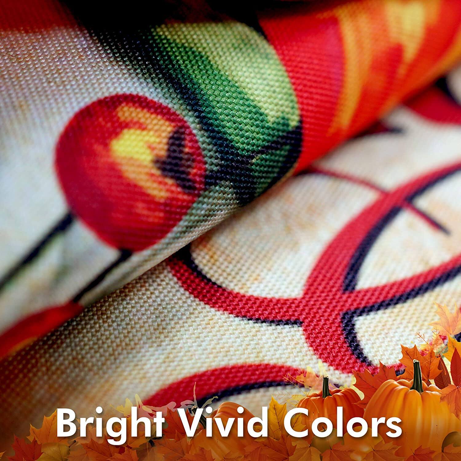 Bright Vivid Colors