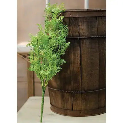 Front. BreeBe - *Coral Fern Bush 19" - Green.