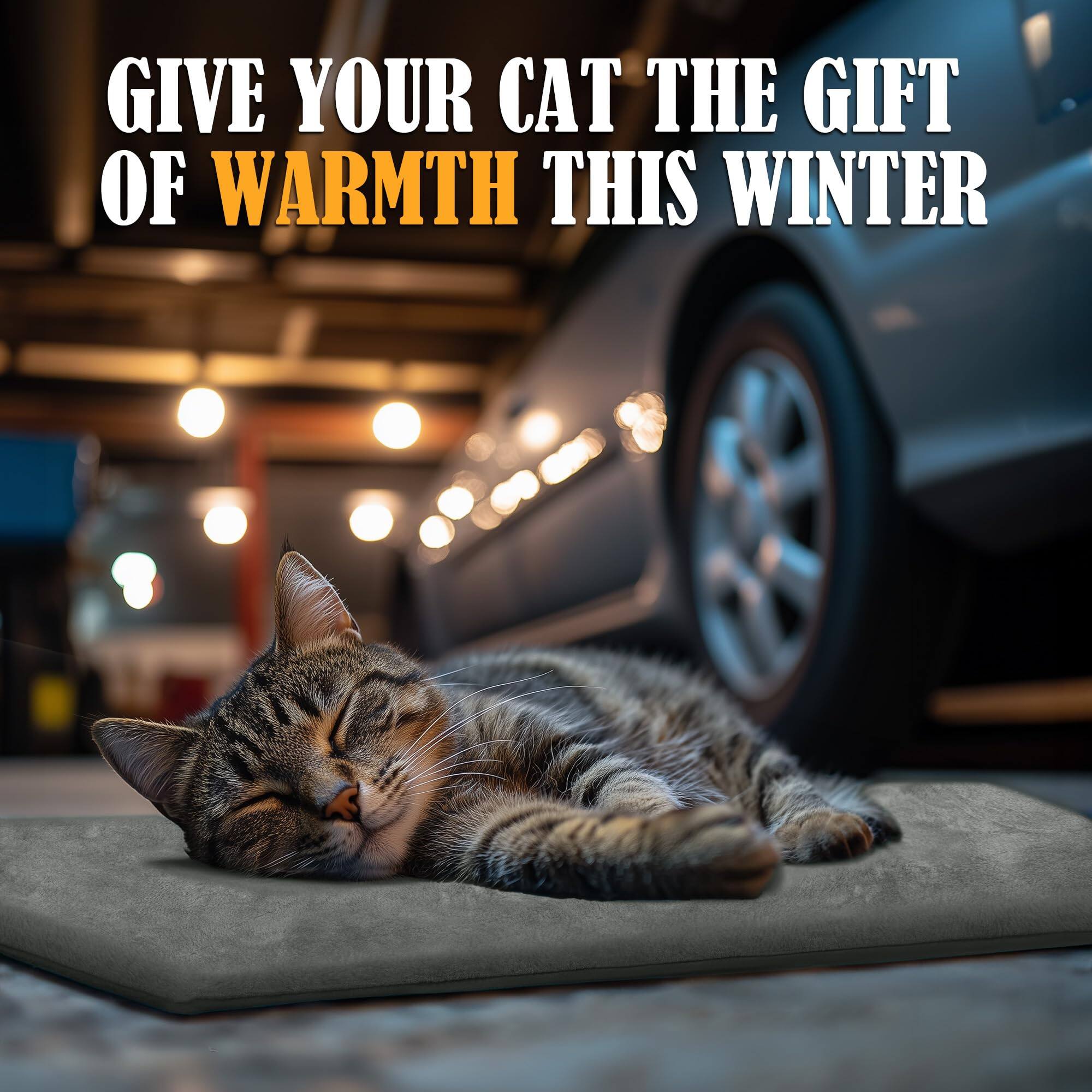 GIVE YOUR CAT THE GIFT OF WARMTH THIS WINTER