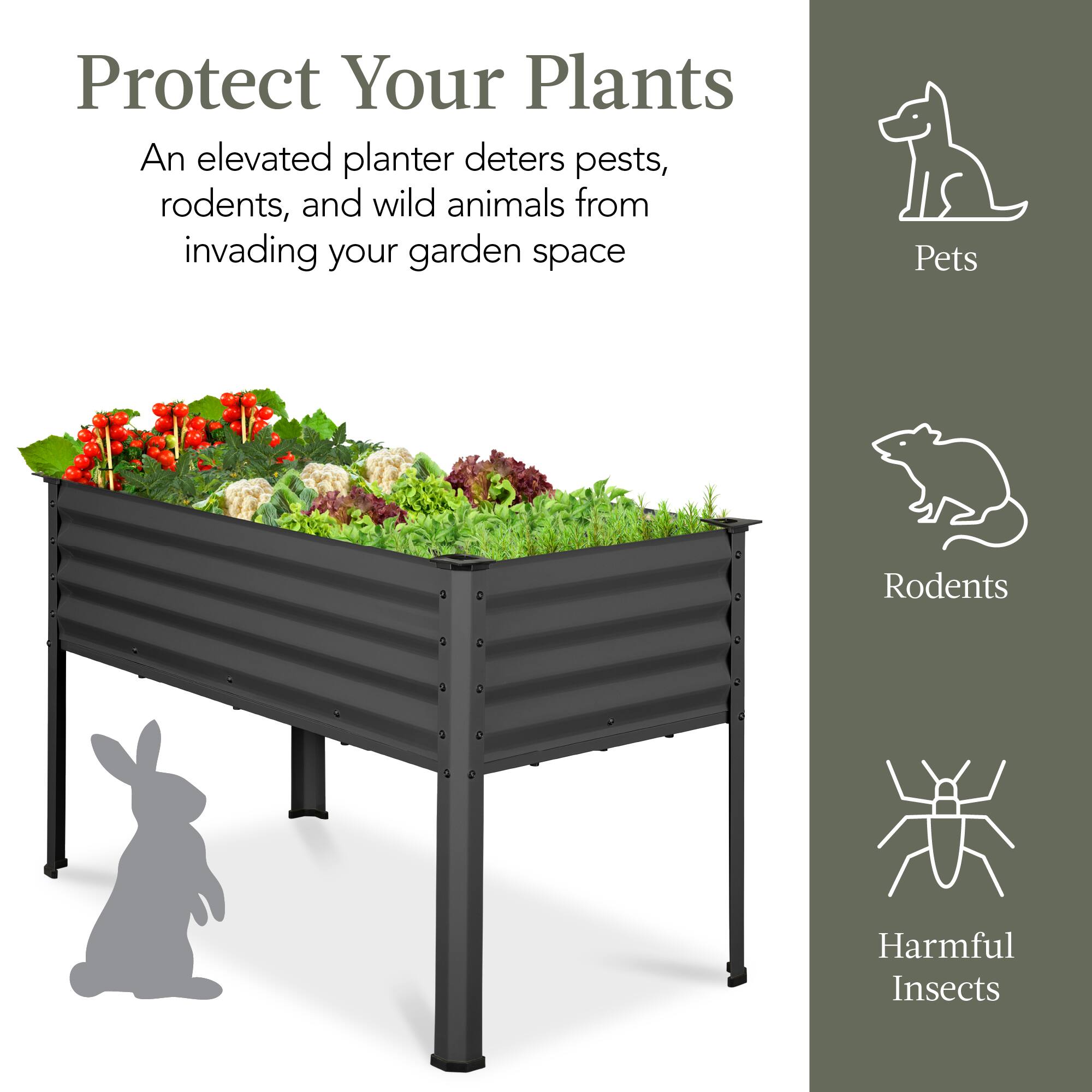 Protect Your Plants

An elevated planter deters pests, rodents, and wild animals from invading your garden space

Pets  
Rodents  
Harmful Insects
