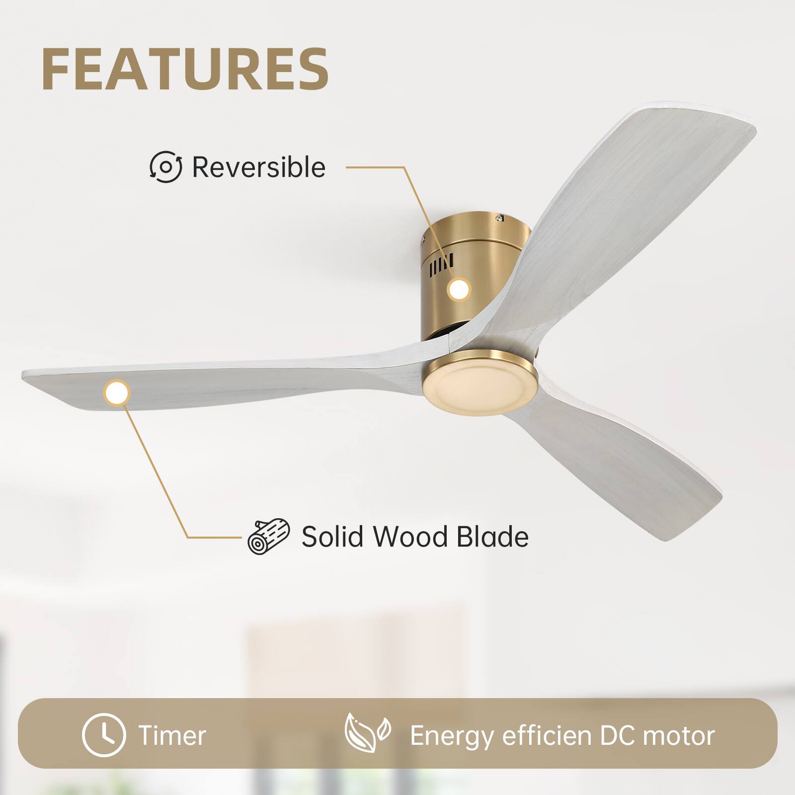 FEATURES

- Reversible
- Solid Wood Blade
- Timer
- Energy efficient DC motor