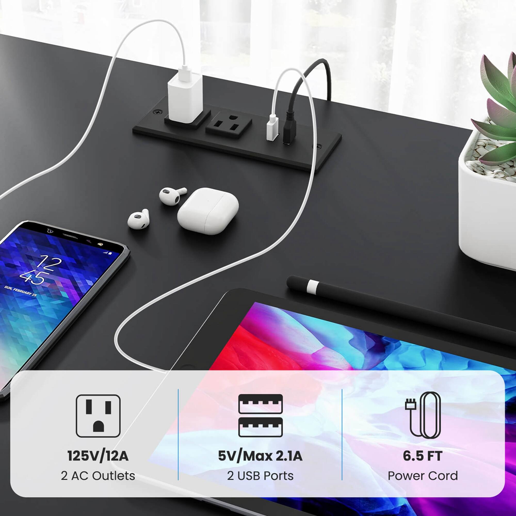 TP 12 SN 45 FEBRUARY 125V/12A 2 AC Outlets 5v/Max 2.1A 2 USB Ports 6.5 FT Power Cord