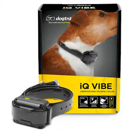 dogtra iQ VIBE - Vibration Only No Bark Collar
Make Every Dog Exceptional
10 lbs For Dogs as Small as 10 lbs
3-Level Vibration
Sound Recognition Sensor