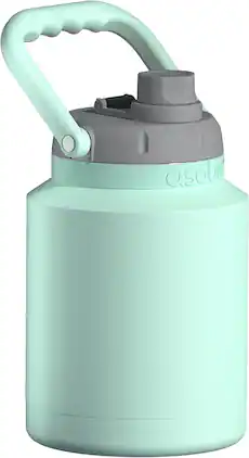 Asobu - Mini Stainless Steel Double Walled Vacuum Insulated 33 Ounce Jug With Carry Handle and Straw Water Bottle, Mint - Green