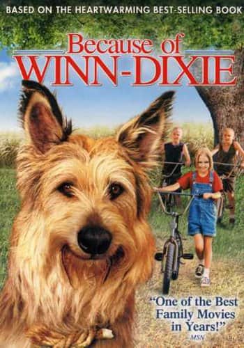 Because of Winn-Dixie  - DVD