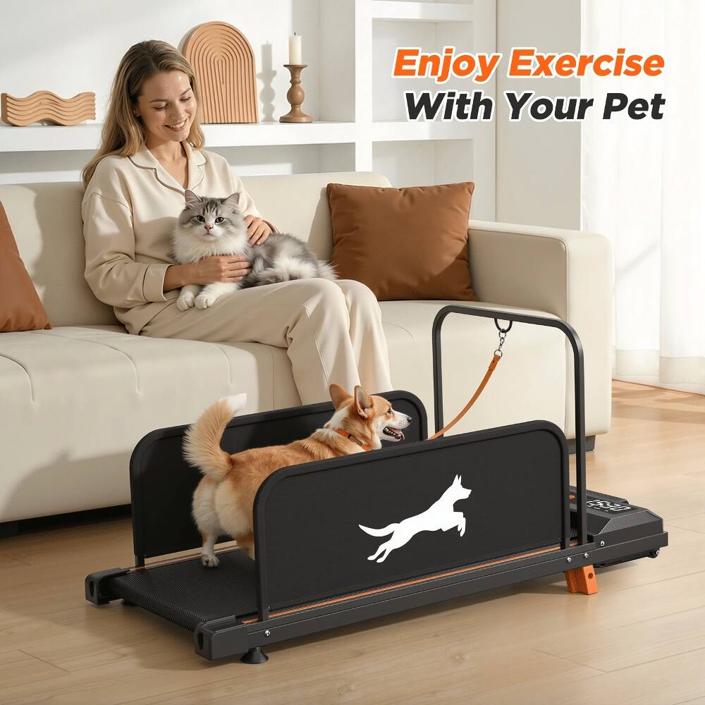 Enjoy Exercise With Your Pet