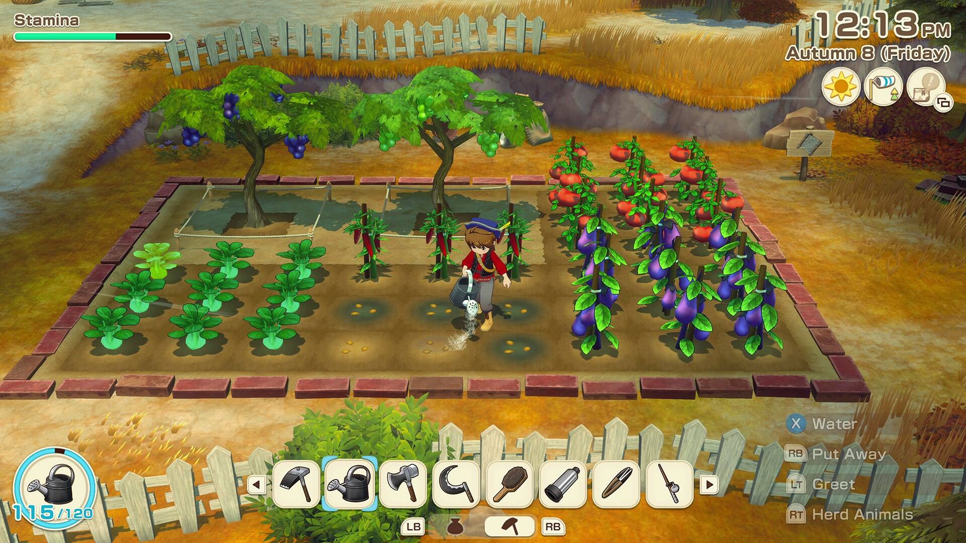 Stamina 1  
12:13 PM  
Autumn 8 (Friday)  

X Water  
RB Put Away  
LT Greet  
RT Herd Animals  

LB  
RB