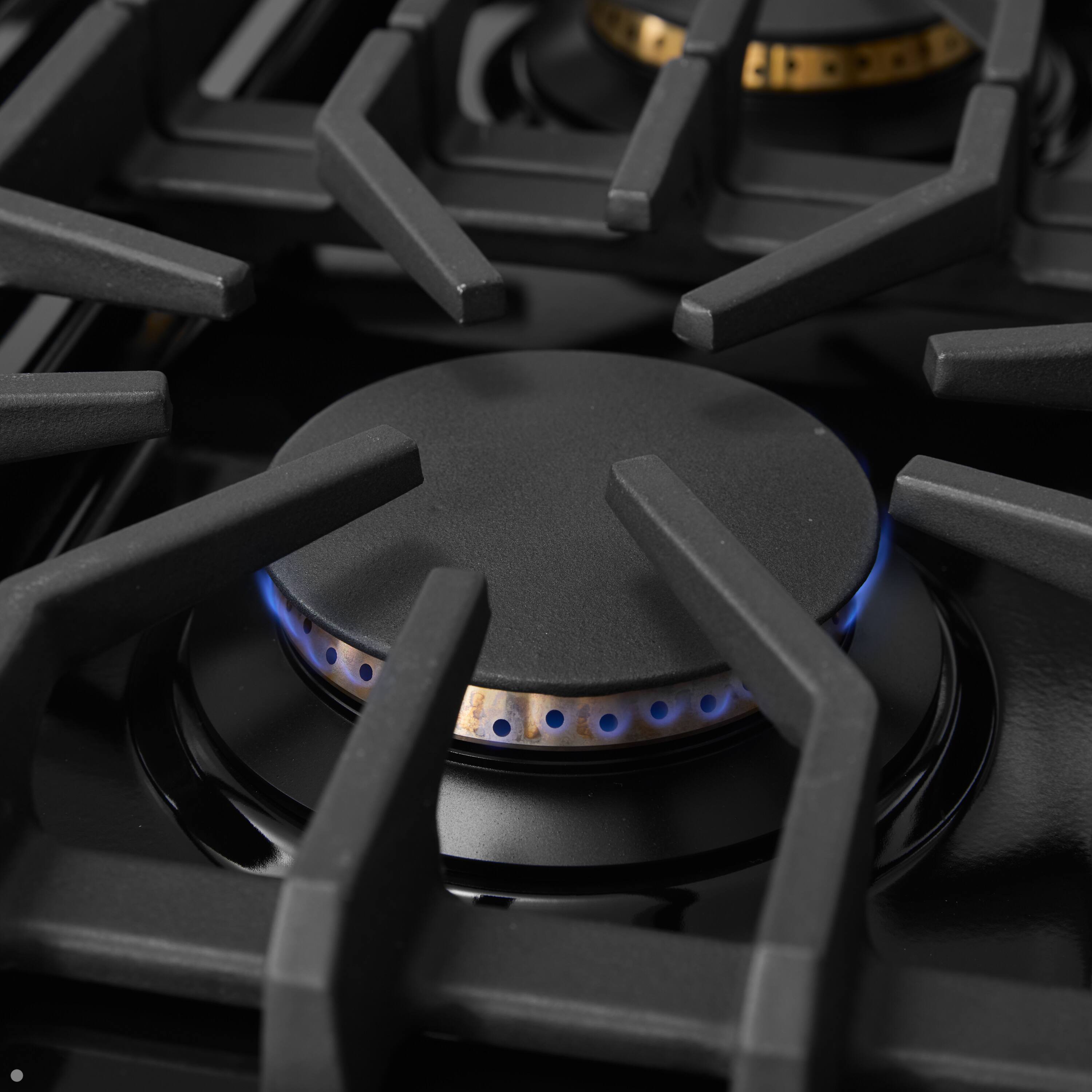 Alt View 6. Viking - Pro 5 Series 7.3 Cu. Ft. Freestanding Sealed 6B Dual Fuel Convection Range/Griddle - Slate Blue w. Brushed Brass Trim - Slate Blue.