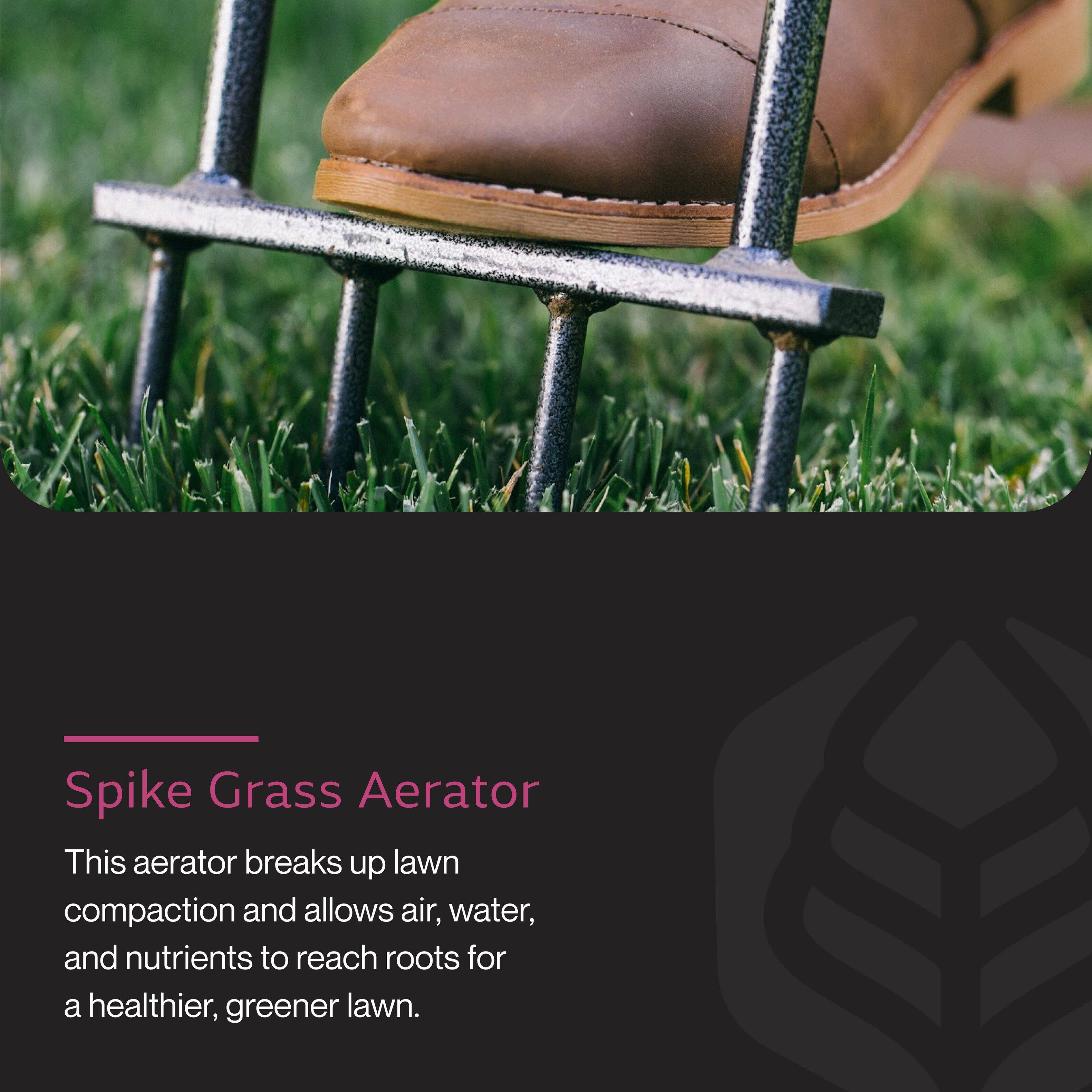 Spike Grass Aerator

This aerator breaks up lawn compaction and allows air, water, and nutrients to reach roots for a healthier, greener lawn.