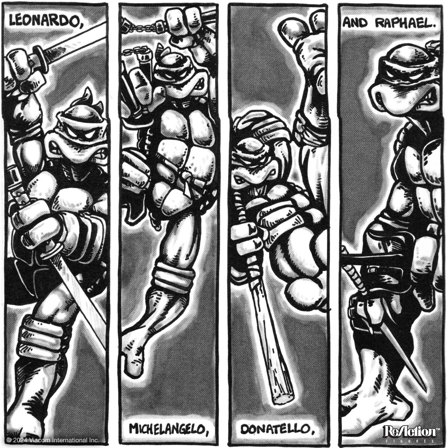 Leonardo, Michelangelo, Donatello, and Raphael. © 2024 Viacom International Inc.