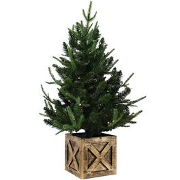Sunnydaze - Farmhouse Indoor Pre-Lit Artificial Christmas Tree - 3 ft - Green