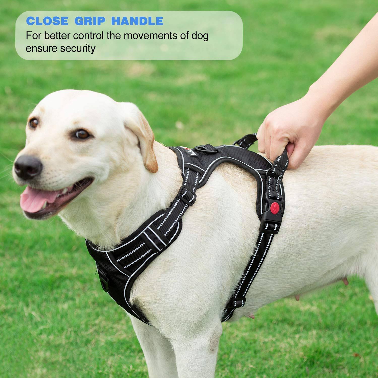 CLOSE GRIP HANDLE  
For better control the movements of dog ensure security
