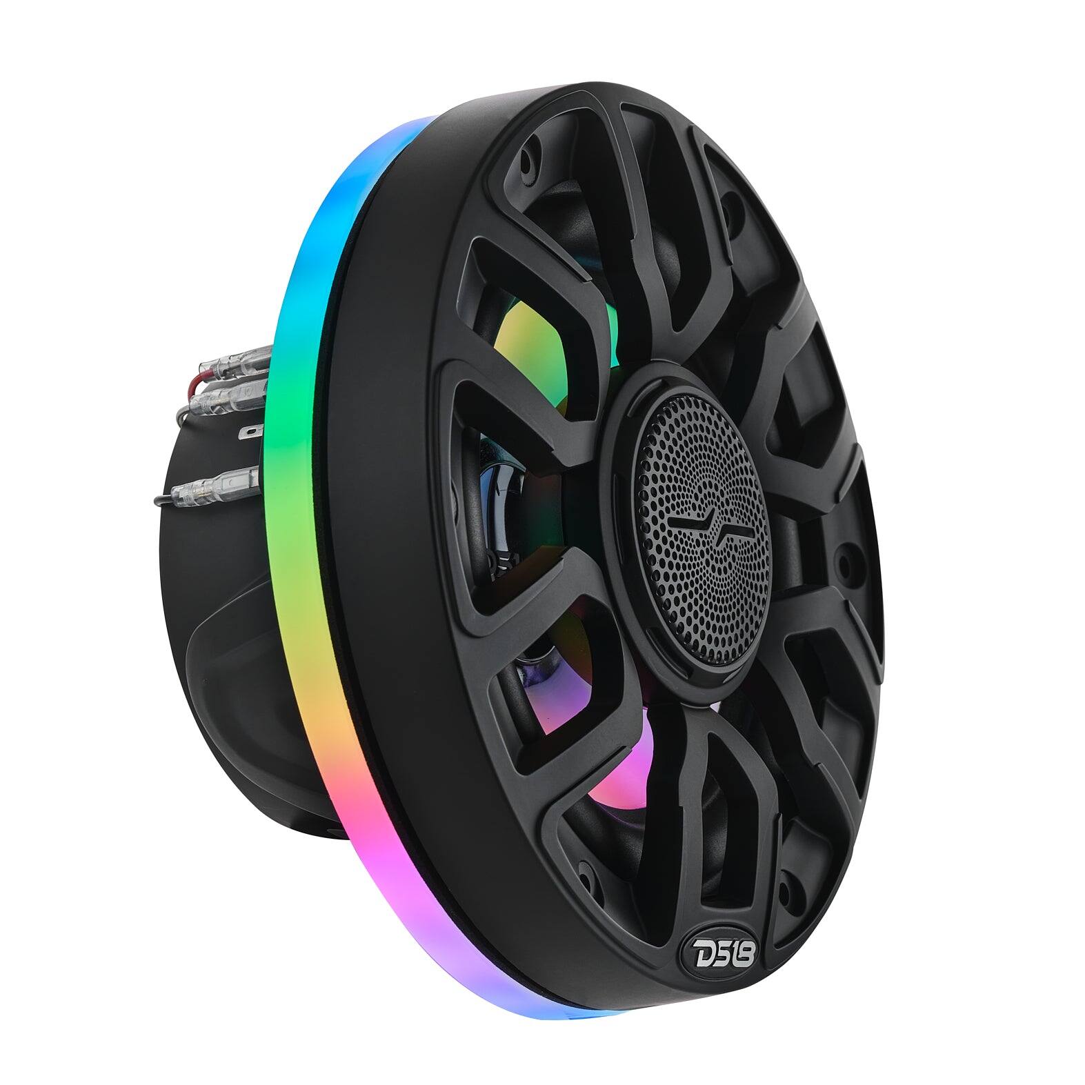Angle. DS18 Audio - NXL 6.5" Loudspeaker.