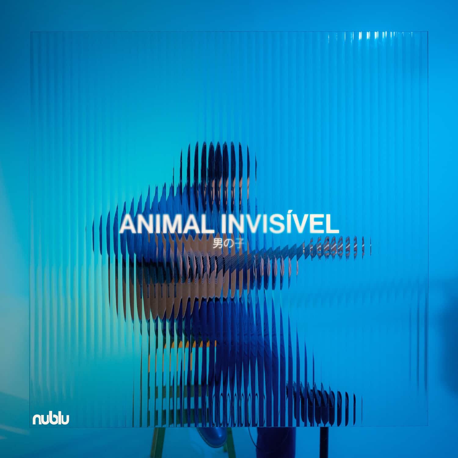 Animal Invisivel - Animal Invisivel   - VINYL LP price history on PriceWatchPro