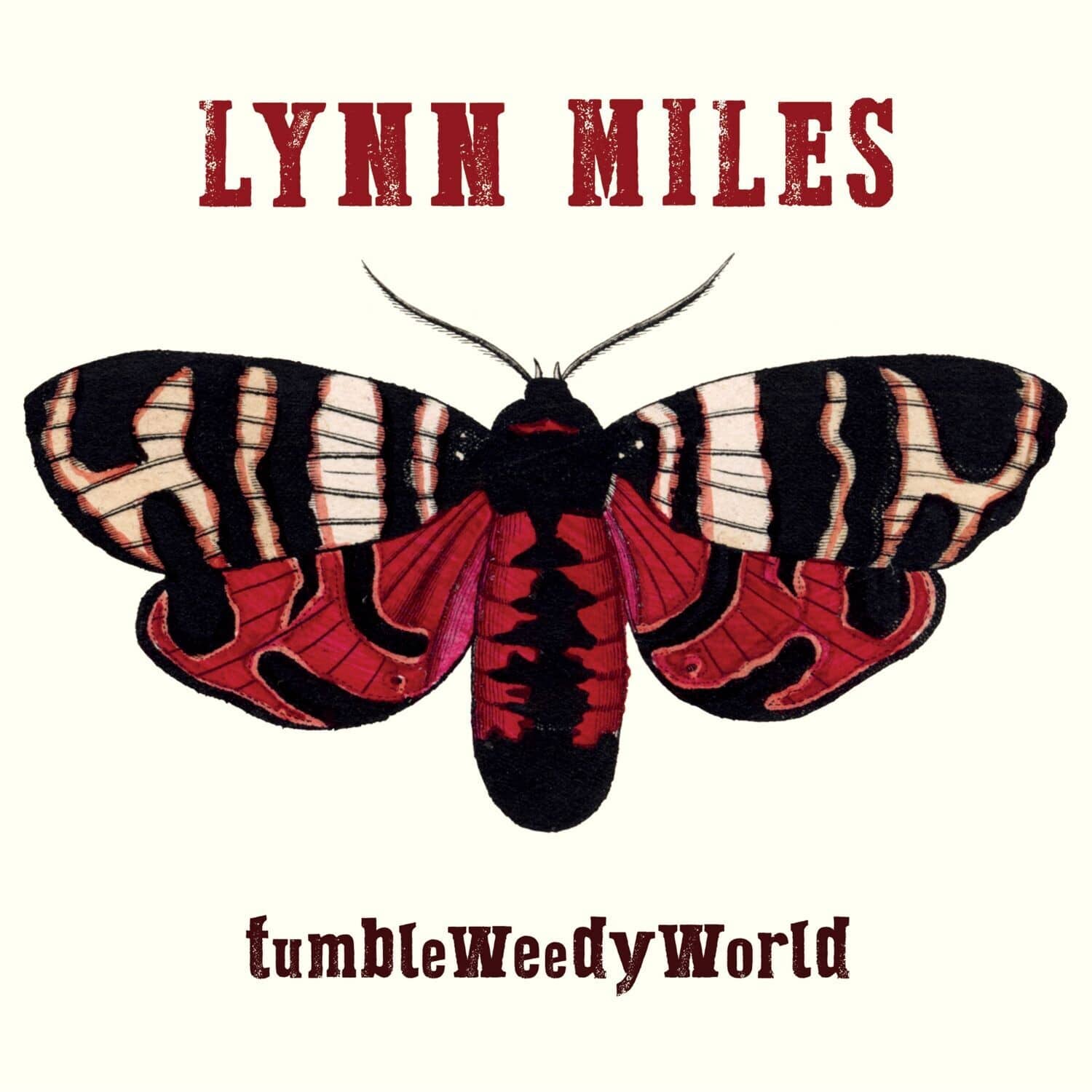 Lynn Miles - Tumbleweedyworld  - COMPACT DISCS
