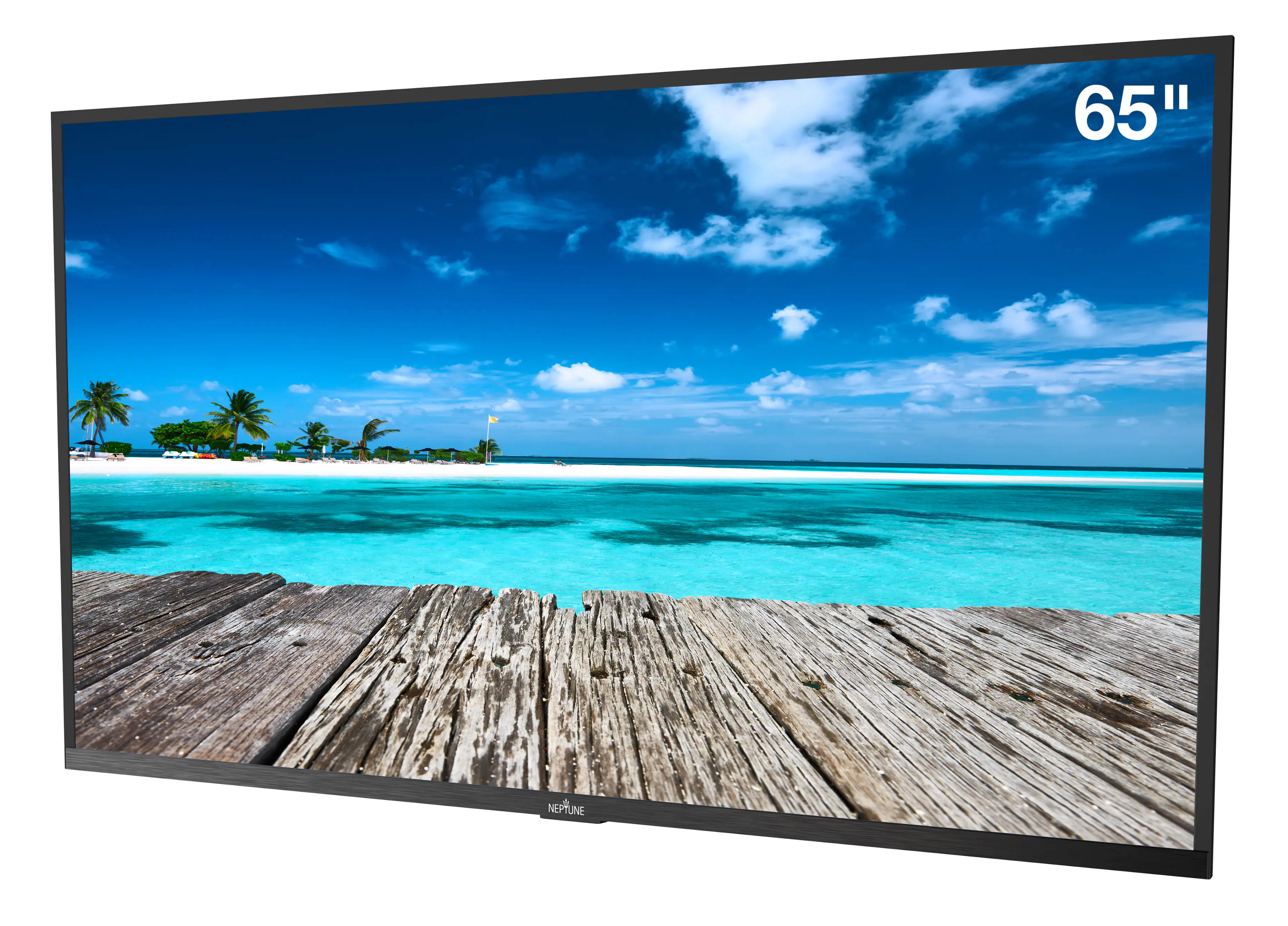 65" NEPTUNE JUNE